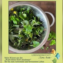 Kraftkräuter und Kraftspeisen - Mit der Natur durch Frühling und Sommer