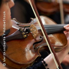 Vivaldi - Die Vier Jahreszeiten | Kammerorchester der Neuen Philharmonie Hamburg