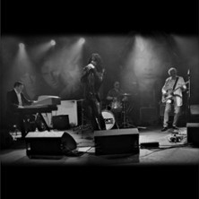 The Doors Rising