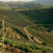 Weinverkostung - Schloß Wallhausen