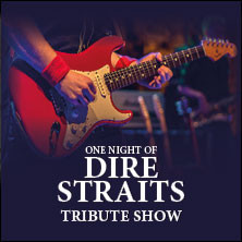 One Night of Dire Straits - Tribute Show