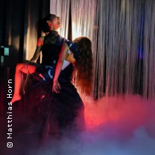 Fall Medea - Theater, Oper und Orchester Halle