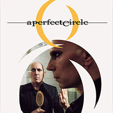 A Perfect Circle
