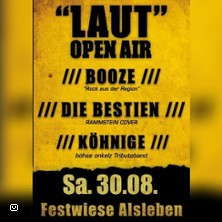 Laut Open Air Alsleben